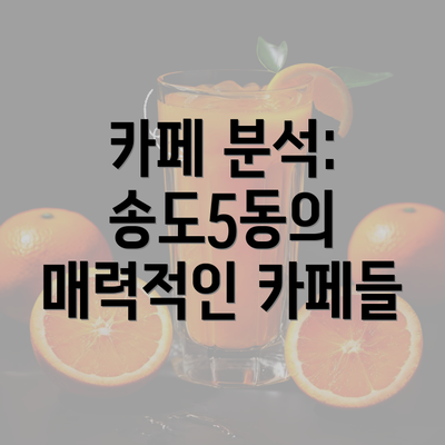 카페 분석: 송도5동의 매력적인 카페들