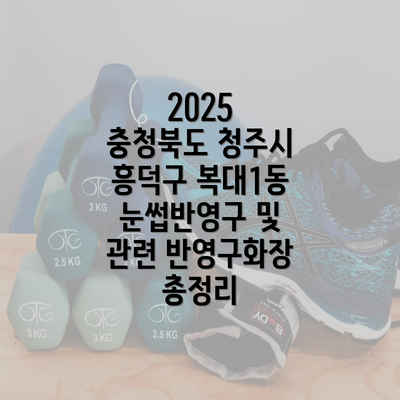 2025 충청북도 청주시 흥덕구 복대1동 눈썹반영구 및 관련 반영구화장 총정리