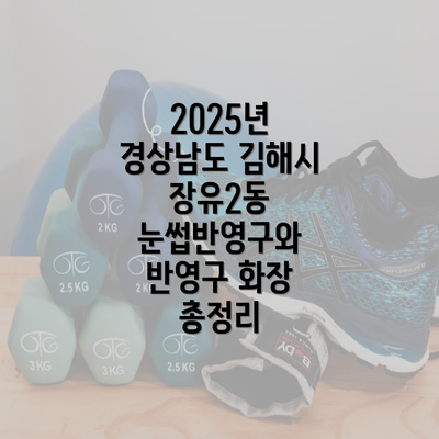 2025년 경상남도 김해시 장유2동 눈썹반영구와 반영구 화장 총정리