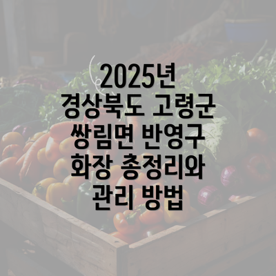 2025년 경상북도 고령군 쌍림면 반영구 화장 총정리와 관리 방법