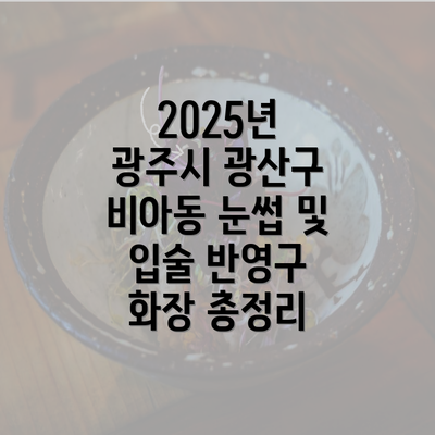 2025년 광주시 광산구 비아동 눈썹 및 입술 반영구 화장 총정리