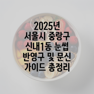 2025년 서울시 중랑구 신내1동 눈썹 반영구 및 문신 가이드 총정리