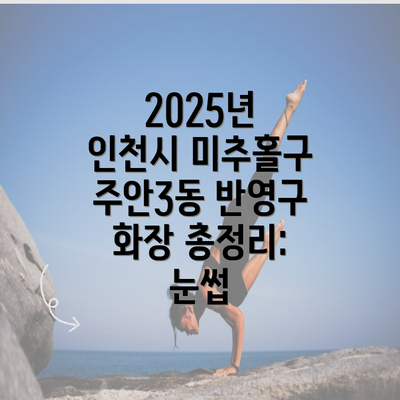 2025년 인천시 미추홀구 주안3동 반영구 화장 총정리: 눈썹