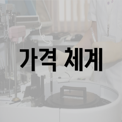 가격 체계