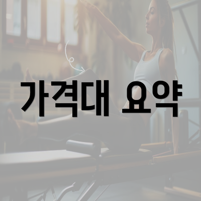 가격대 요약