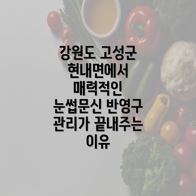 강원도 고성군 현내면에서 매력적인 눈썹문신 반영구 관리가 끝내주는 이유