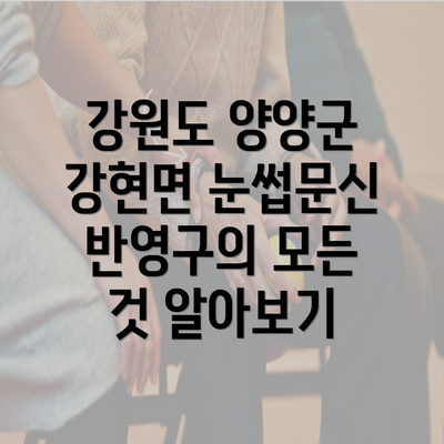 강원도 양양군 강현면 눈썹문신 반영구의 모든 것 알아보기