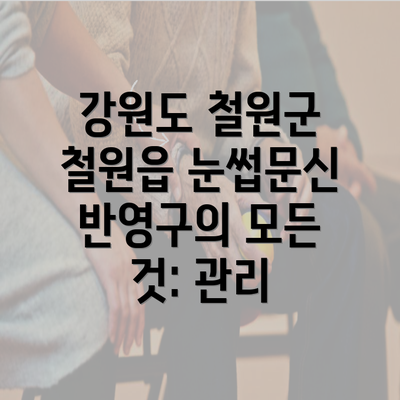 강원도 철원군 철원읍 눈썹문신 반영구의 모든 것: 관리