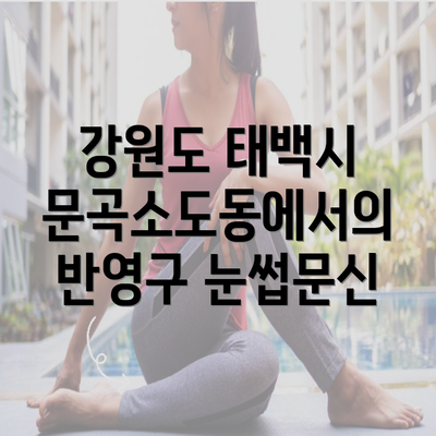 강원도 태백시 문곡소도동에서의 반영구 눈썹문신