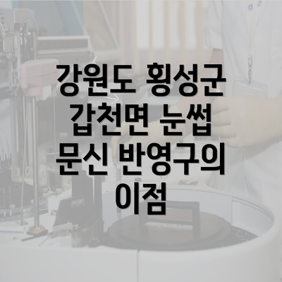 강원도 횡성군 갑천면 눈썹 문신 반영구의 이점