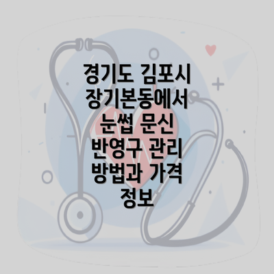 경기도 김포시 장기본동에서 눈썹 문신 반영구 관리 방법과 가격 정보