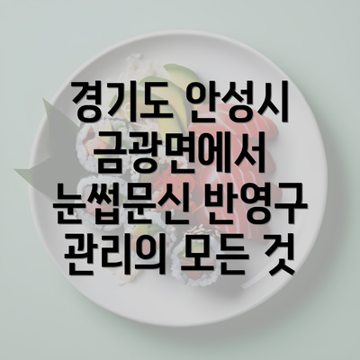 경기도 안성시 금광면에서 눈썹문신 반영구 관리의 모든 것