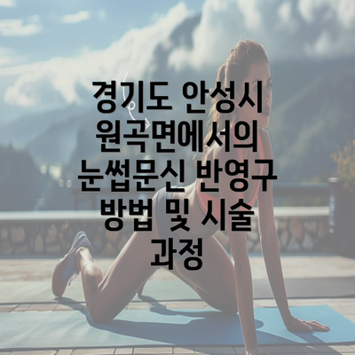 경기도 안성시 원곡면에서의 눈썹문신 반영구 방법 및 시술 과정