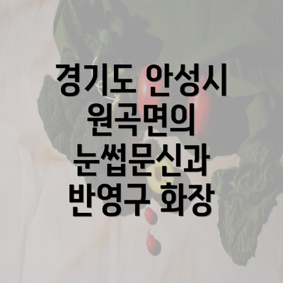 경기도 안성시 원곡면의 눈썹문신과 반영구 화장