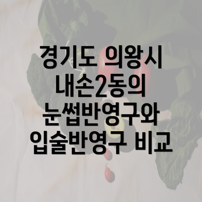 경기도 의왕시 내손2동의 눈썹반영구와 입술반영구 비교