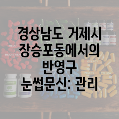 경상남도 거제시 장승포동에서의 반영구 눈썹문신: 관리