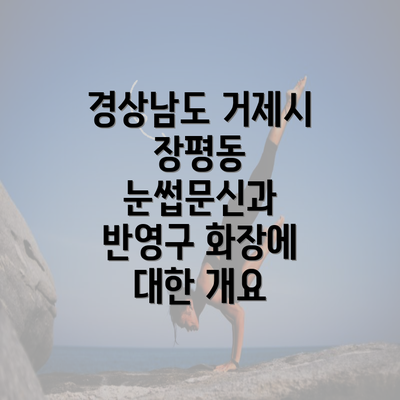 경상남도 거제시 장평동 눈썹문신과 반영구 화장에 대한 개요