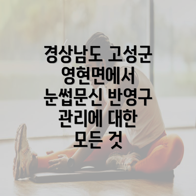 경상남도 고성군 영현면에서 눈썹문신 반영구 관리에 대한 모든 것