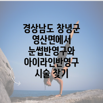 경상남도 창녕군 영산면에서 눈썹반영구와 아이라인반영구 시술 찾기