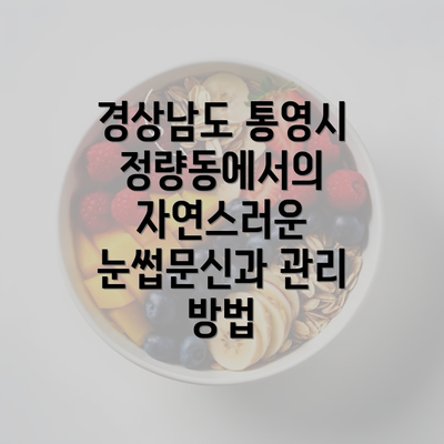 경상남도 통영시 정량동에서의 자연스러운 눈썹문신과 관리 방법