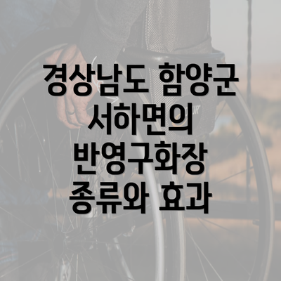 경상남도 함양군 서하면의 반영구화장 종류와 효과