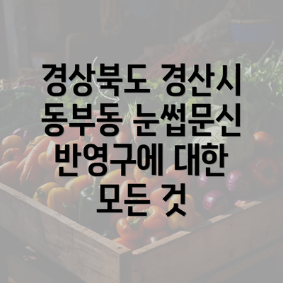 경상북도 경산시 동부동 눈썹문신 반영구에 대한 모든 것