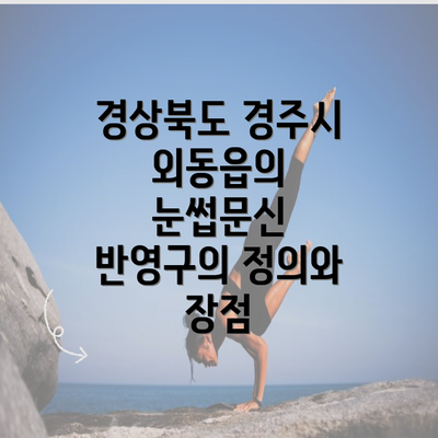 경상북도 경주시 외동읍의 눈썹문신 반영구의 정의와 장점