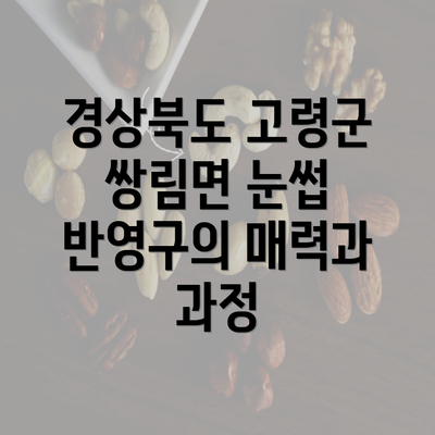 경상북도 고령군 쌍림면 눈썹 반영구의 매력과 과정