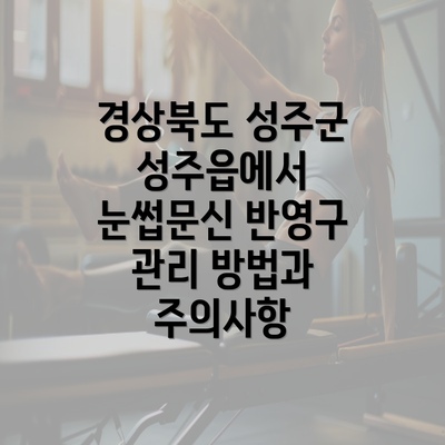 경상북도 성주군 성주읍에서 눈썹문신 시술 정보