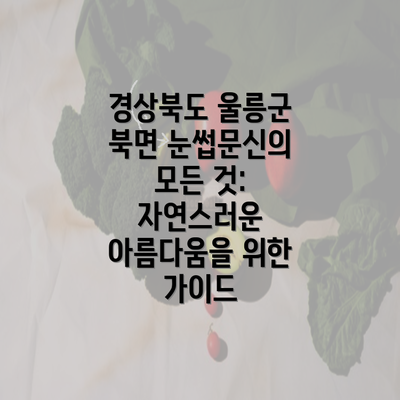 경상북도 울릉군 북면 눈썹문신의 모든 것: 자연스러운 아름다움을 위한 가이드