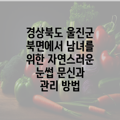 경상북도 울진군 북면에서 남녀를 위한 자연스러운 눈썹 문신과 관리 방법