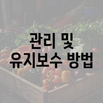 관리 및 유지보수 방법