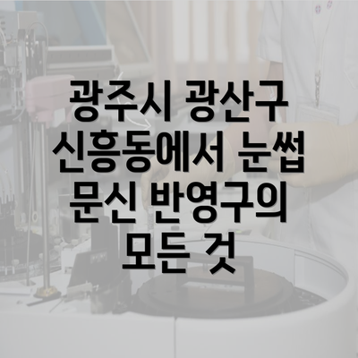 광주시 광산구 신흥동에서 눈썹 문신 반영구의 모든 것