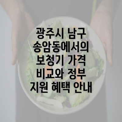 광주시 남구 송암동에서의 보청기 가격 비교와 정부 지원 혜택 안내