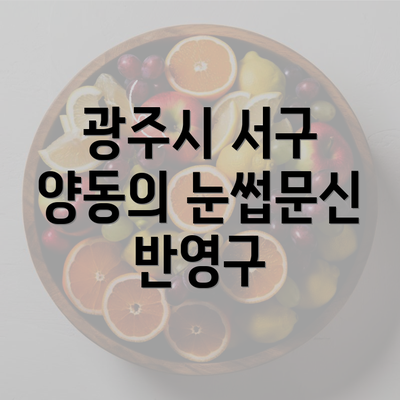 광주시 서구 양동의 눈썹문신 반영구