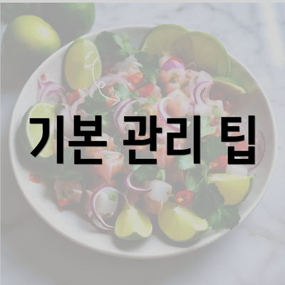 기본 관리 팁