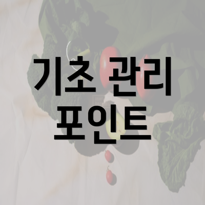 기초 관리 포인트