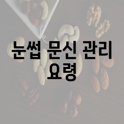 눈썹 문신 관리 요령