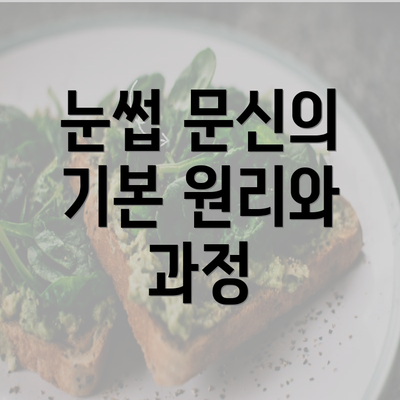 눈썹 문신의 기본 원리와 과정