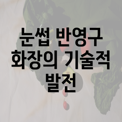 눈썹 반영구 화장의 기술적 발전