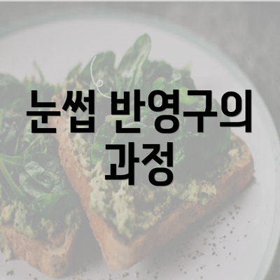 눈썹 반영구의 과정