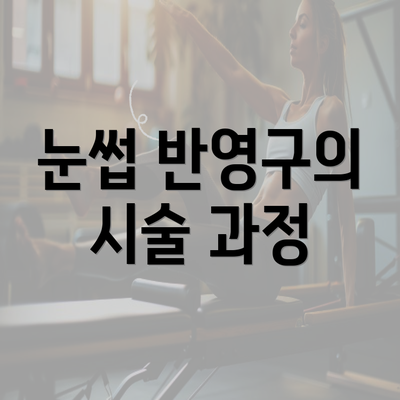 눈썹 반영구의 시술 과정