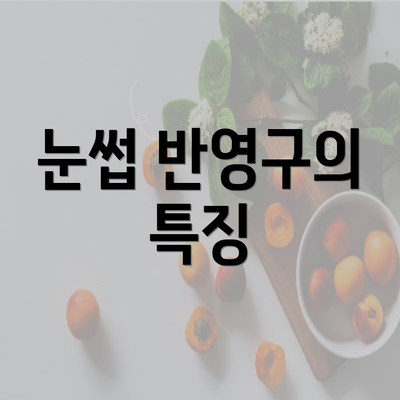 눈썹 반영구의 특징