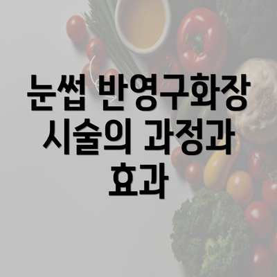 눈썹 반영구화장 시술의 과정과 효과