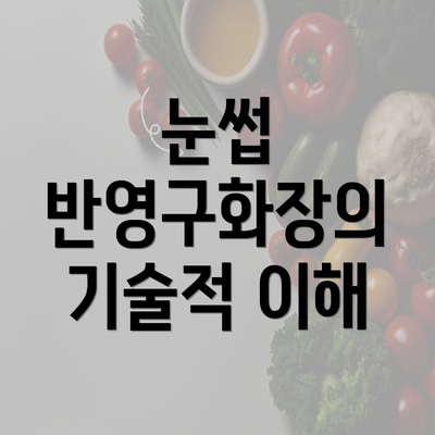 눈썹 반영구화장의 기술적 이해