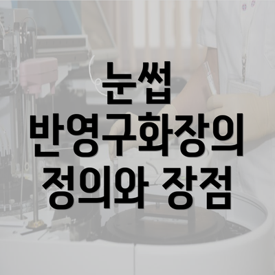 눈썹 반영구화장의 정의와 장점