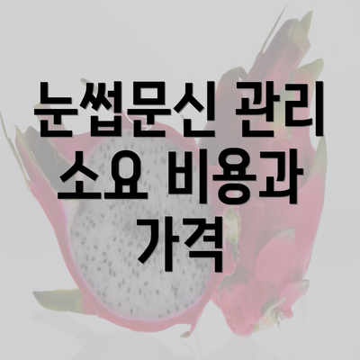 눈썹문신 관리 소요 비용과 가격