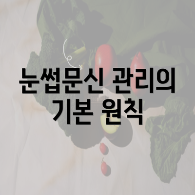 눈썹문신 관리의 기본 원칙