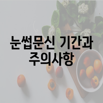 눈썹문신 기간과 주의사항