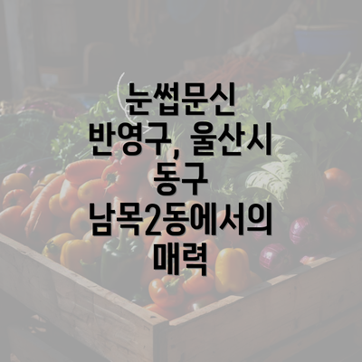 눈썹문신 반영구, 울산시 동구 남목2동에서의 매력